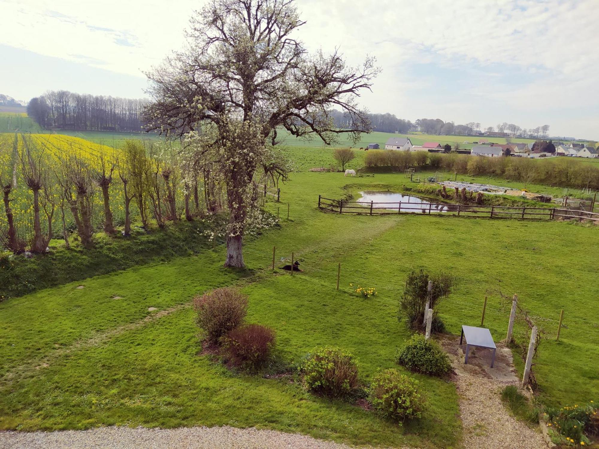 Chambres D'Hotes " Le Clos Des Colimacons " Maniquerville Zewnętrze zdjęcie